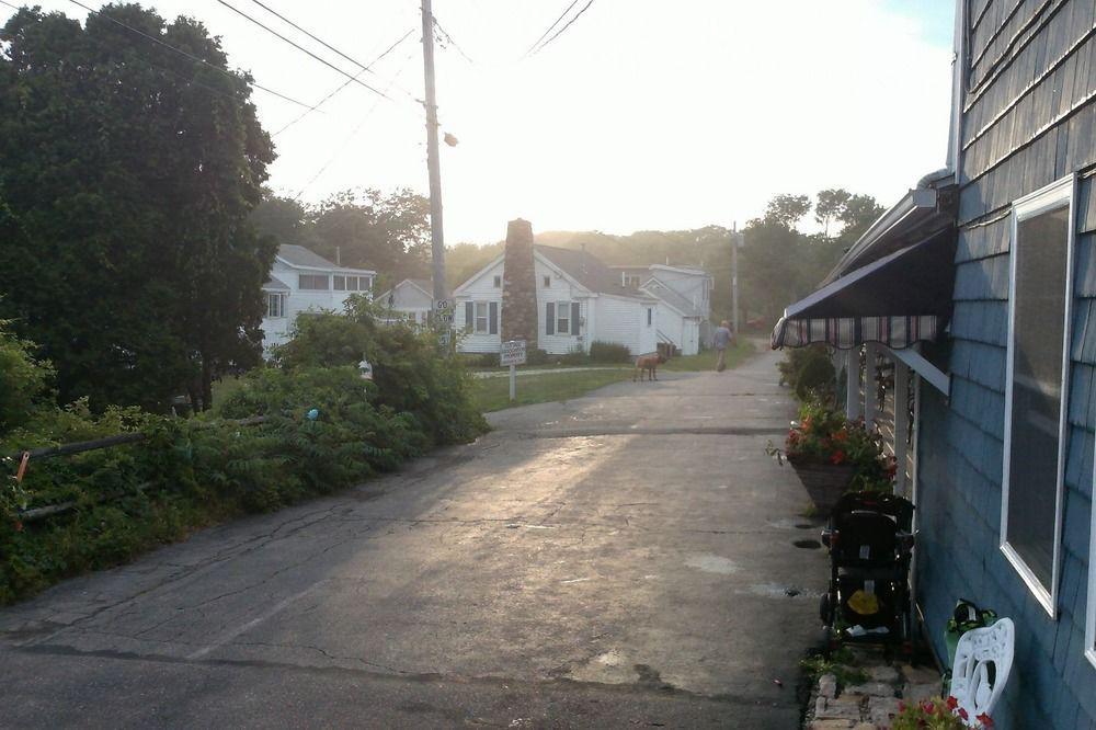 海雾风汽车旅馆 约克 外观 照片